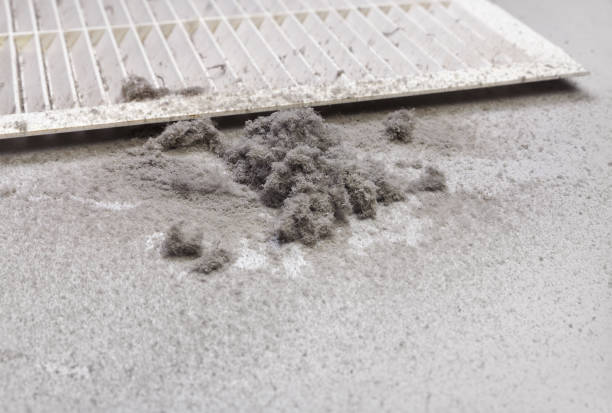 Best HVAC Air Duct Cleaning  in Laguna Vista, TX