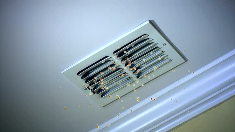 Best Air Duct Cleaning Near Me  in Laguna Vista, TX