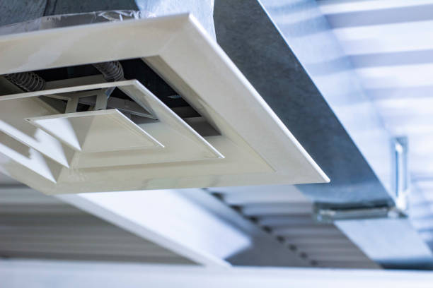 Best Affordable Duct Cleaning Services  in Laguna Vista, TX