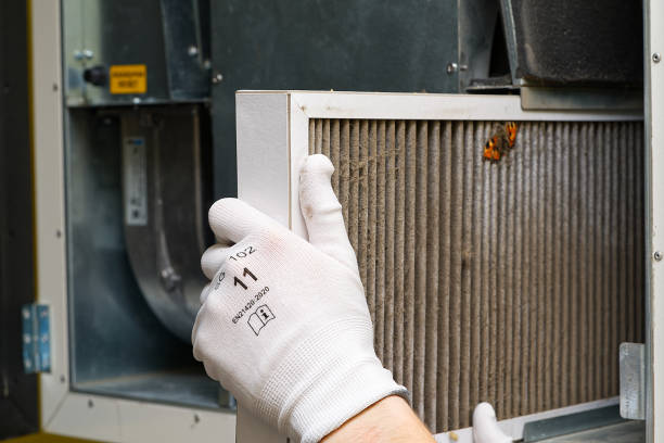 Best Professional Duct Cleaning Services  in Laguna Vista, TX